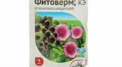 Phyteerm: как да се размножават и използват за растения